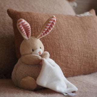 Collaboration exclusive : P'tit Bisou x Doudou et Compagnie 🤍
Craquez pour ce joli doudou lapin de la collection Iris et Malo, ultra-doux et parfait pour les petites mains de votre bébé. Sa texture douce et sa forme sont idéales pour répondre aux besoins de câlins et de “tétouillages” des tout-petits 🐰✨

• Dès la naissance pour des moments de douceur dès le premier jour 👶
• Entretien facile : Lavable à 30°C, séchage en machine délicat 🧼

#PtitBisouxDoudouetCompagnie #doudouetcompagnie #DoudouBébé #Douceur #ideecadeau #naissance