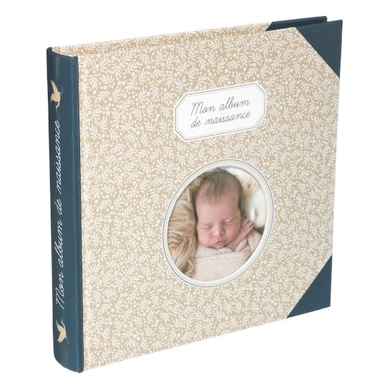 Le Petit Journal De Mon Bébé Première Année: livre de naissance garçon,  tout en couleur, pour garder les souvenirs de bébé, depuis le ventre de  maman jusqu'à sa première année: : simples