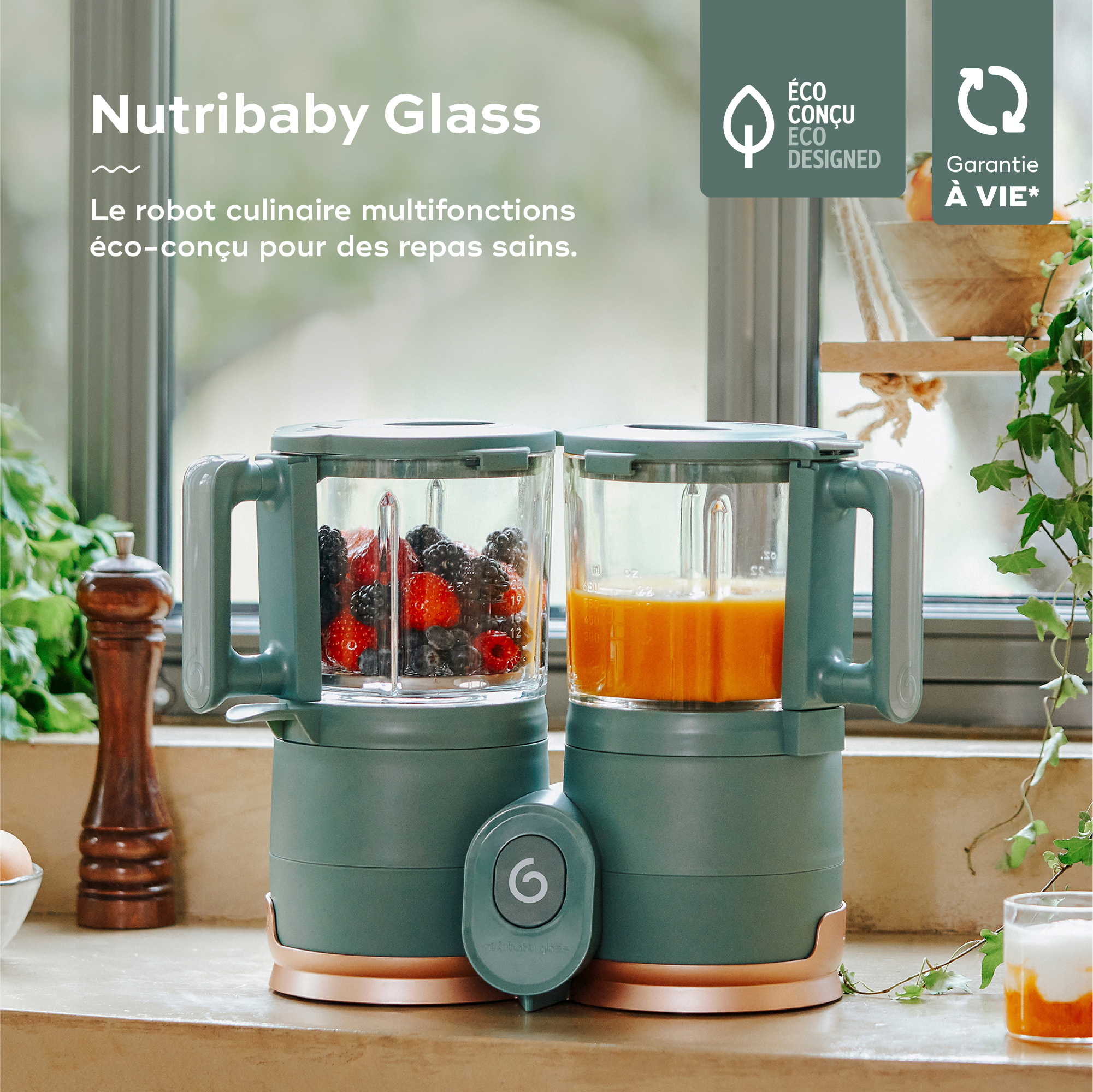 Nutribaby Glass - Robot Multifonction en Verre Green Forest de Babymoov,  Cuiseurs : Aubert