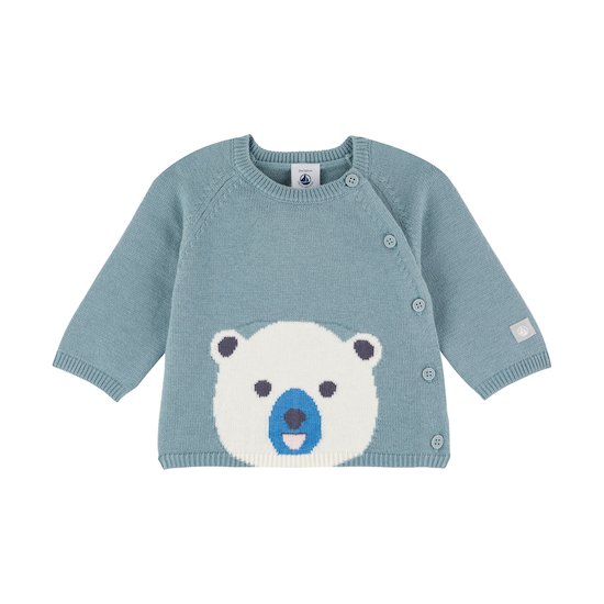 Cardigan Ours Bebe En Tricot Sedumblue De Petit Bateau Gilets Pulls Fille Aubert