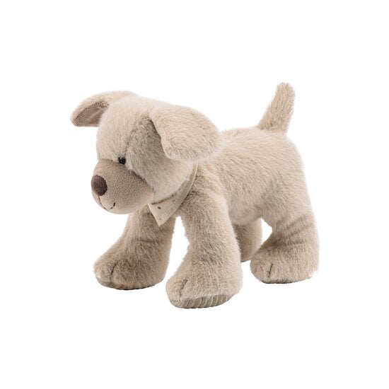 Lucky Peluche Chien  de Sterntaler